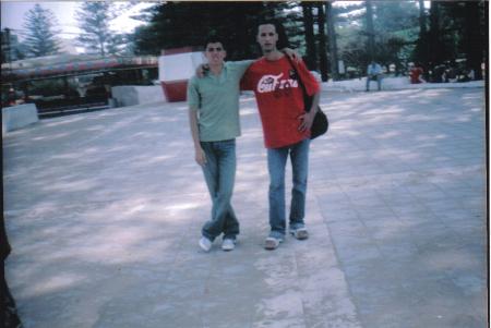 3 amis